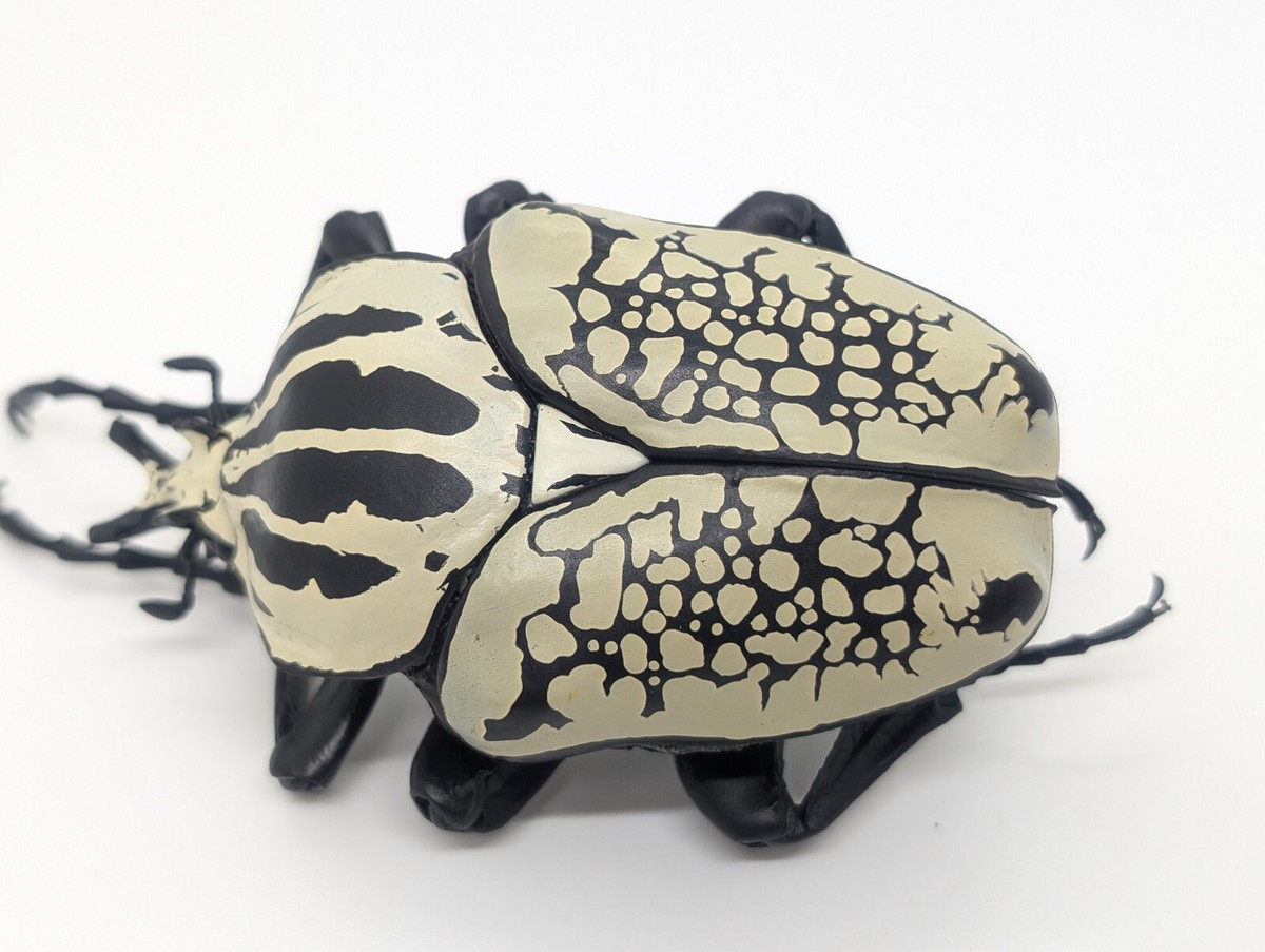 Bandai Japan Gashapon Goliathus Orientalis 7inch Big Realistic
