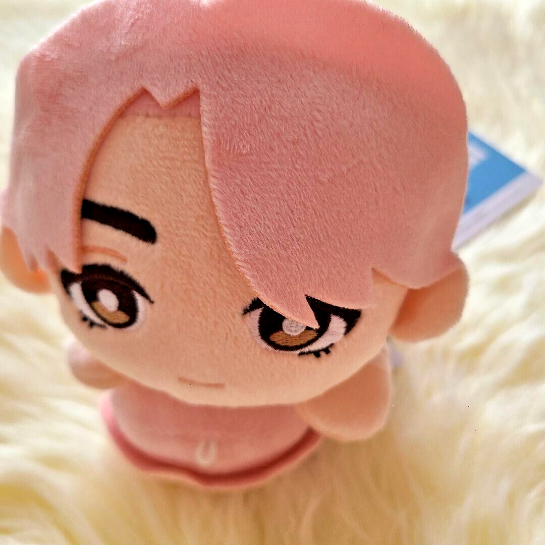 SEVENTEEN PetiTEEN S.COUPS Mini Plush Toy Doll Mascot Set 4 SEGA