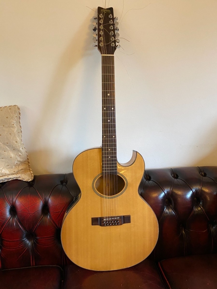 Washburn 12 String Birds Eye Maple Electro-Acoustic Very Rare EA20