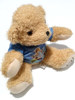 Taylor Swift Fearless Teddy Bear Very Rare | eBay