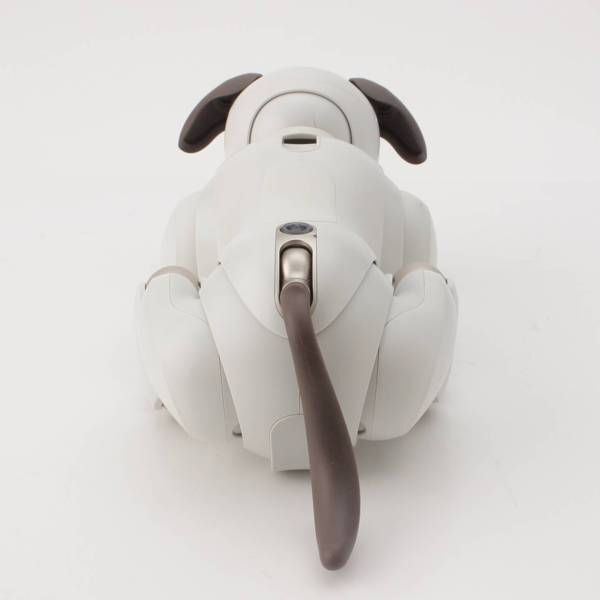 Sony AIBO ERS-1000 White Entertainment Robot Dog accessories w/Box