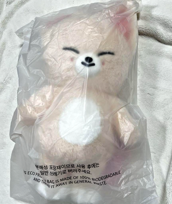 Stray Kids SKZOO Fox I.Ny Official Plush Teddy Bear Ver. 5'clock