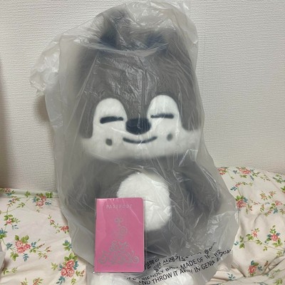 アイドル straykids skzoo Teddy アイドル straykids skzoo Teddy