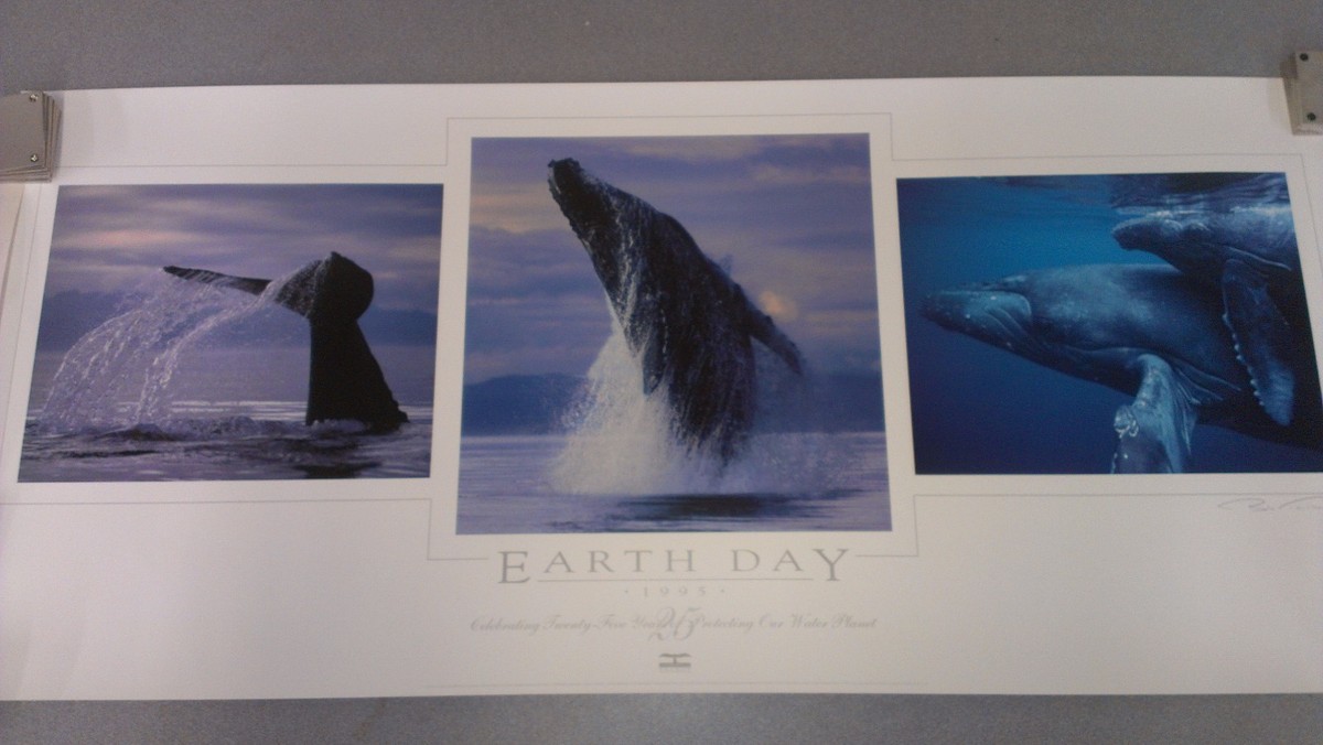 Bob Talbot 80s vintage poster 3種セット Bob Talbot 80s vintage