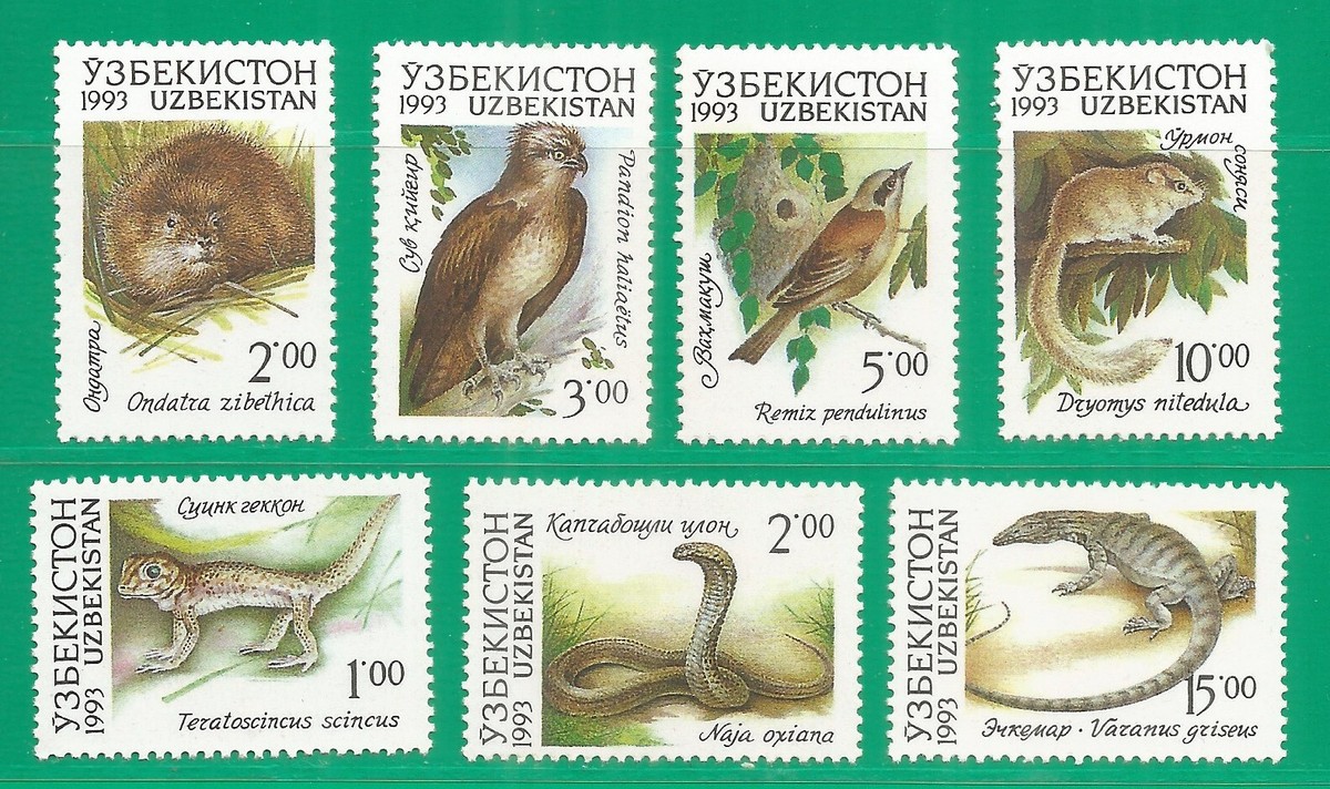 2965 外国切手 ウズベキスタン 1999年 馬 小型シート 2965 外国切手