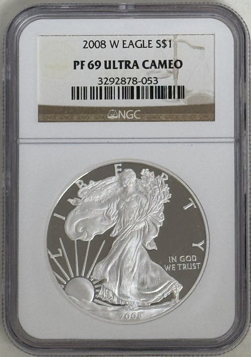 2008 ブリタニア 銀貨 NGC PF69UCウルトラカメオ スラブ欠けあり 2008