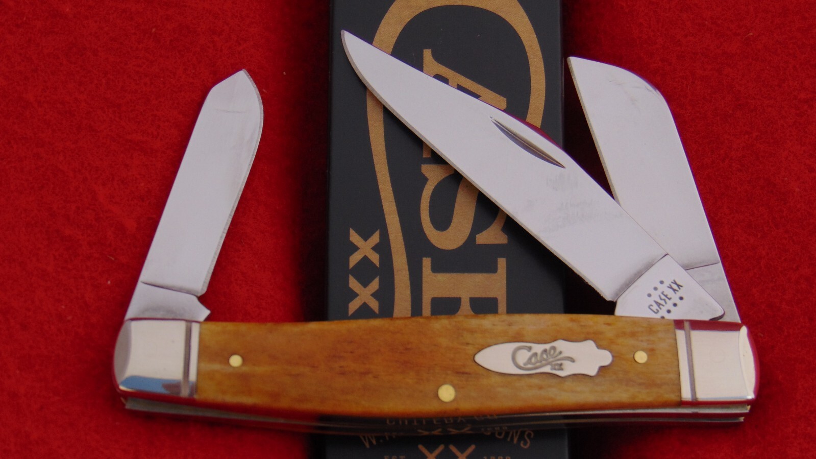 t*i様 Vintage Coaster V20 美品 純正ソフトケース付き t*i様 Vintage