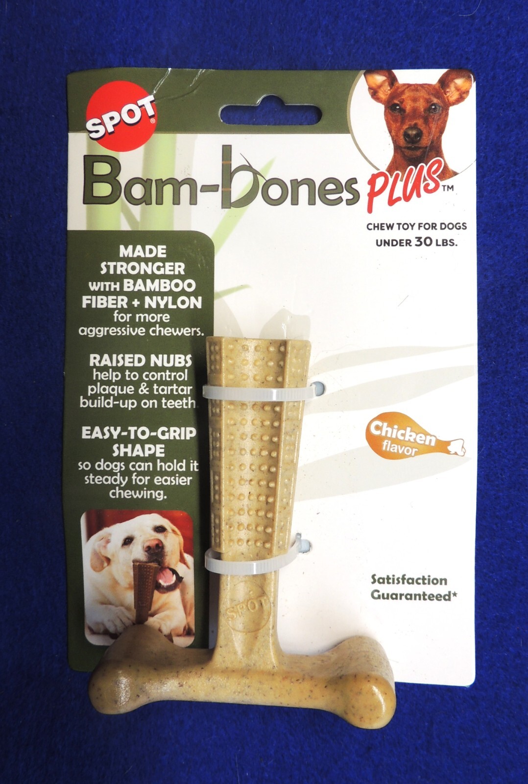 $_57.JPG?set_id=880000500F