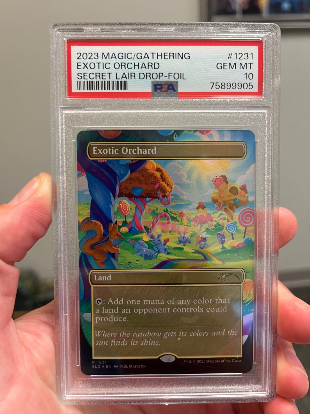 MTG Foil 基本土地5種 Secret Lair SLD MTG Foil 基本土地5種 Secret