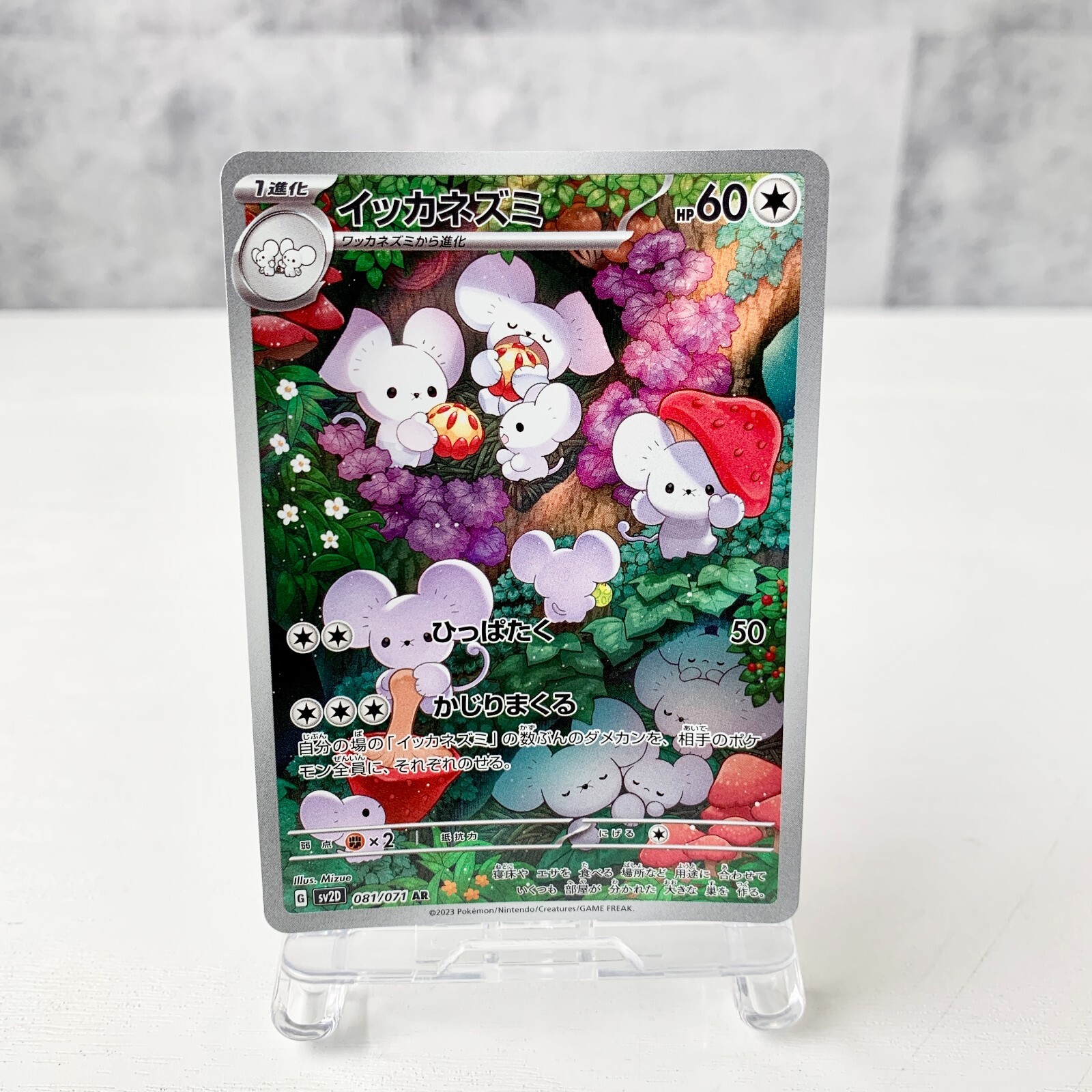 ポルンガキャンペーン 神龍キャンペーン psa鑑定 8連番セット ポルンガ