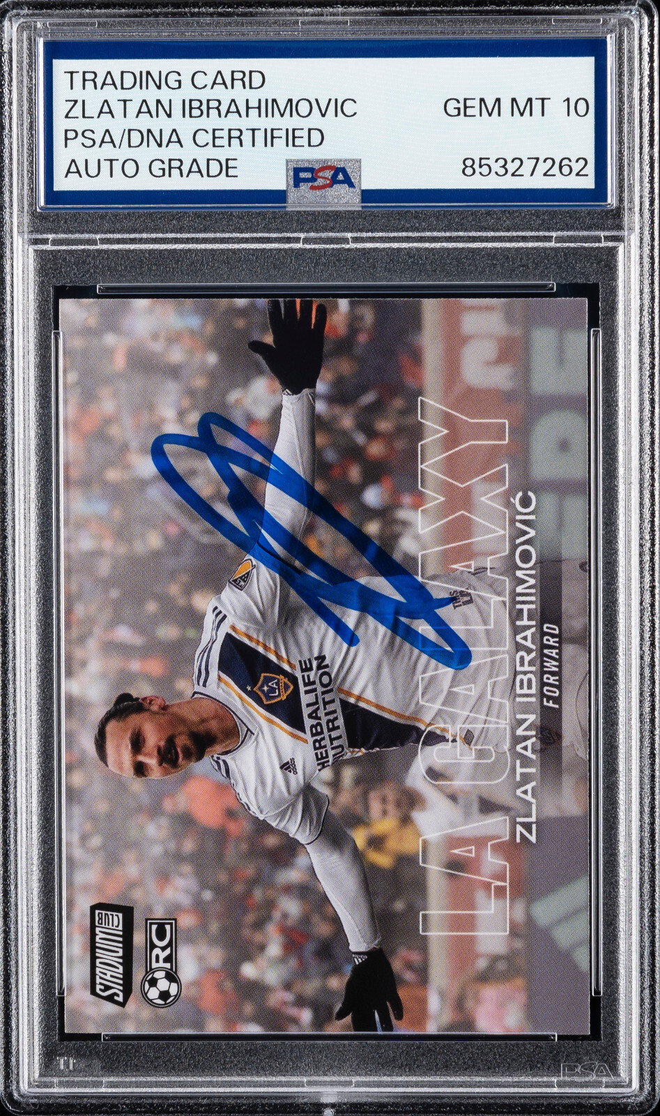 ジュエルペットてぃんくる☆ まほうのエプロン メイドカフェスあかり