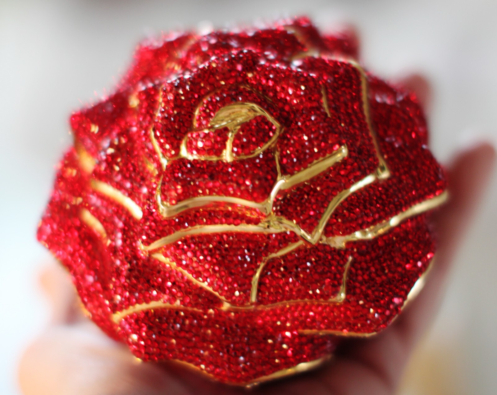 $_57.JPG?set_id=880000500F