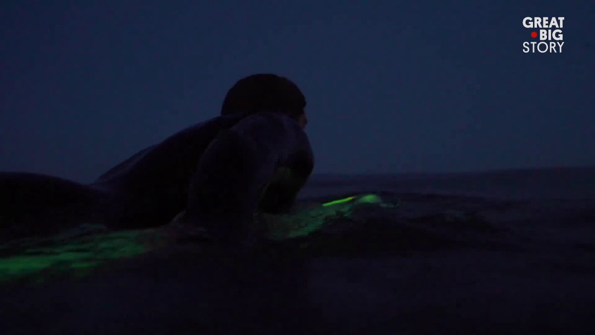 夜の海で手作りのLED搭載サーフボードを使って波乗りすることに情熱を