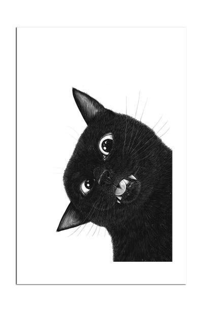 Crazy Black Cat Canvas Wall Art by Valeriya Korenkova | iCanvas