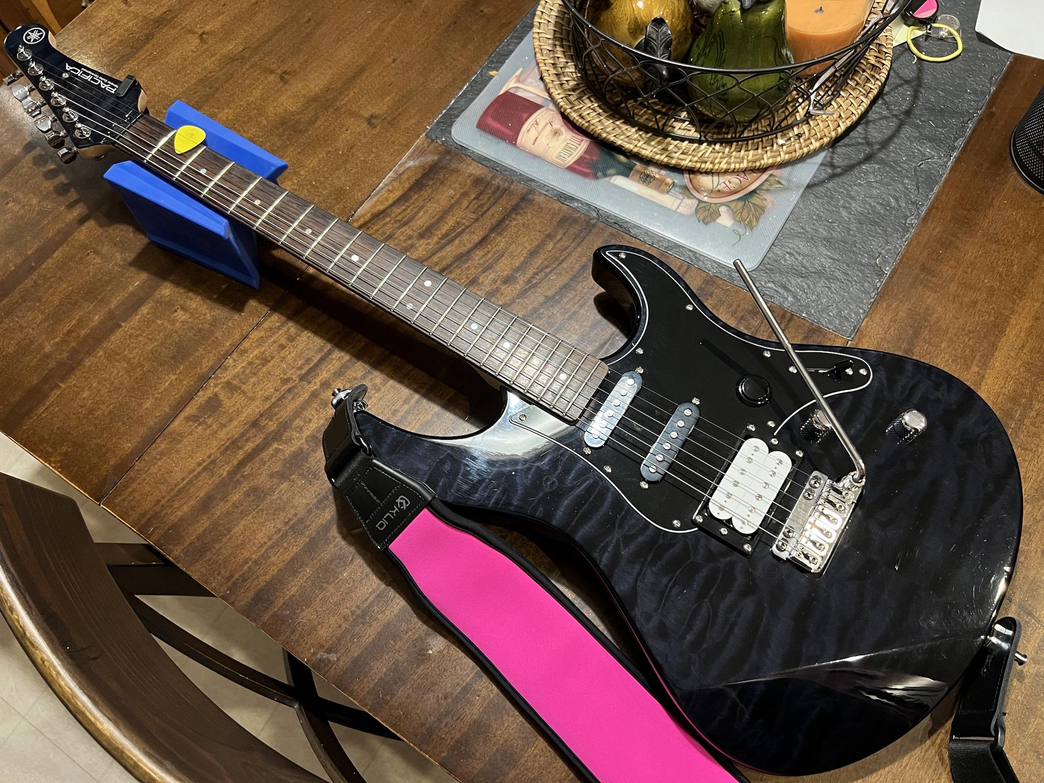 PRS SE custom 24 Modify vegatrem