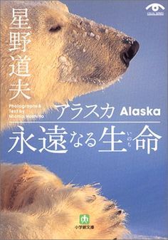 星野道夫 シロクマ親子ポスター 没後20年 特別展 星野道夫の旅」図録ギフト