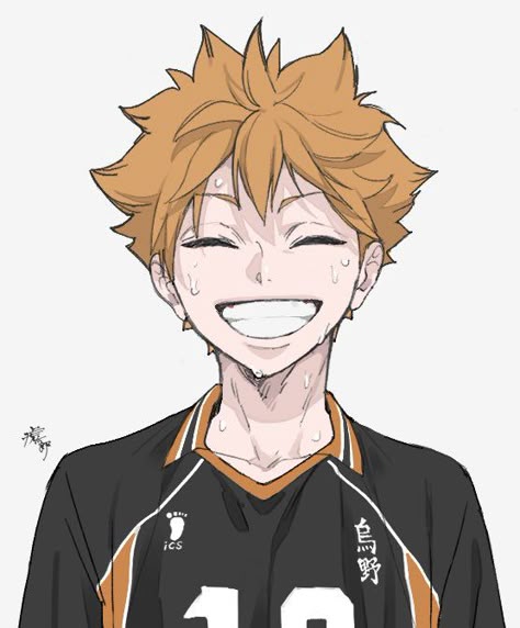 ハイキュー 日向翔陽 日向翔陽 | 魂ウェブ