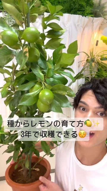 そらベジ🥝ガーデンハック on Instagram