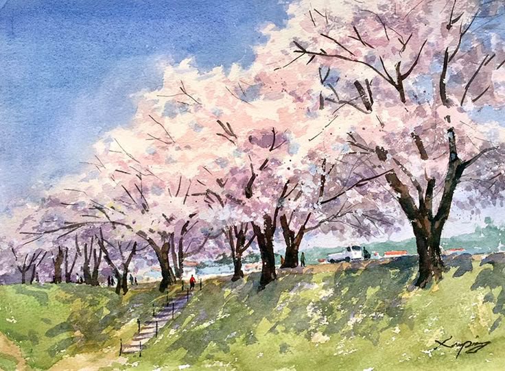 水彩画・風景画・満開の桜・自筆 水彩画・風景画・満開の桜・自筆
