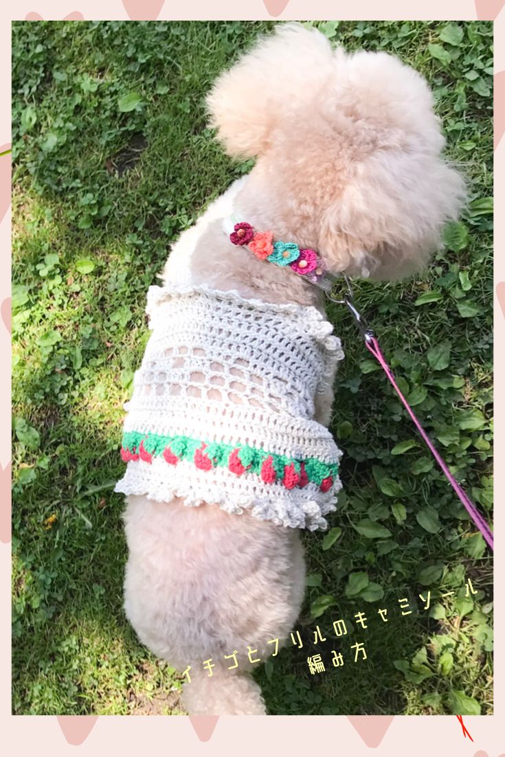 みつ 様専用 ꒡̈⃝Lily꒡̈⃝犬服ハンドメイド 【公式通販】