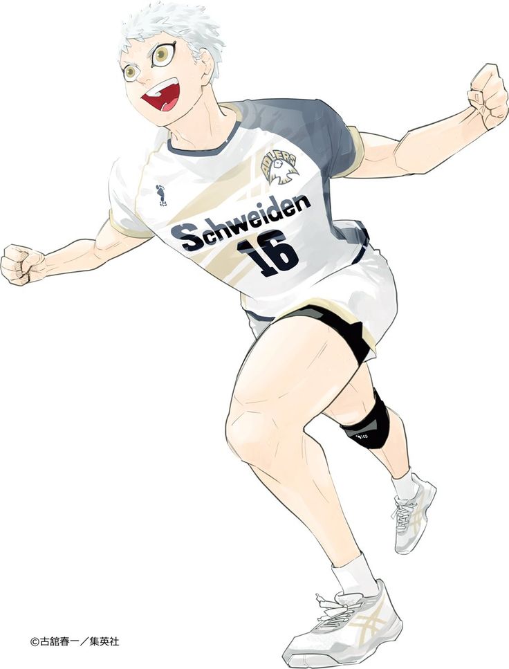 ハイキュー Vリーグ A4ポスターコレクション 夜久衛輔 平和島登志郎