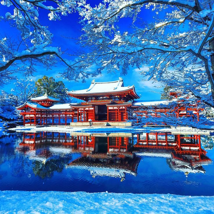 鳳凰堂雪景図】井上黎明 992 宇治平等院 京都 共箱 掛け軸 肉筆 【公式