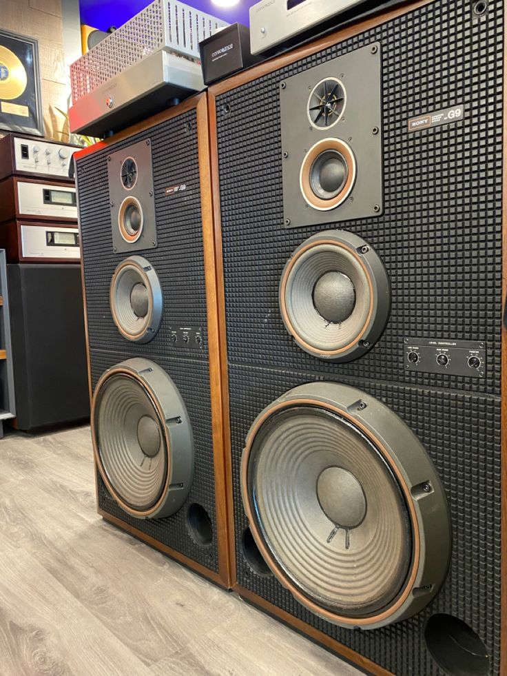 ☆ SONY ss-g9 アルニコ ツィーター 【公式通販】