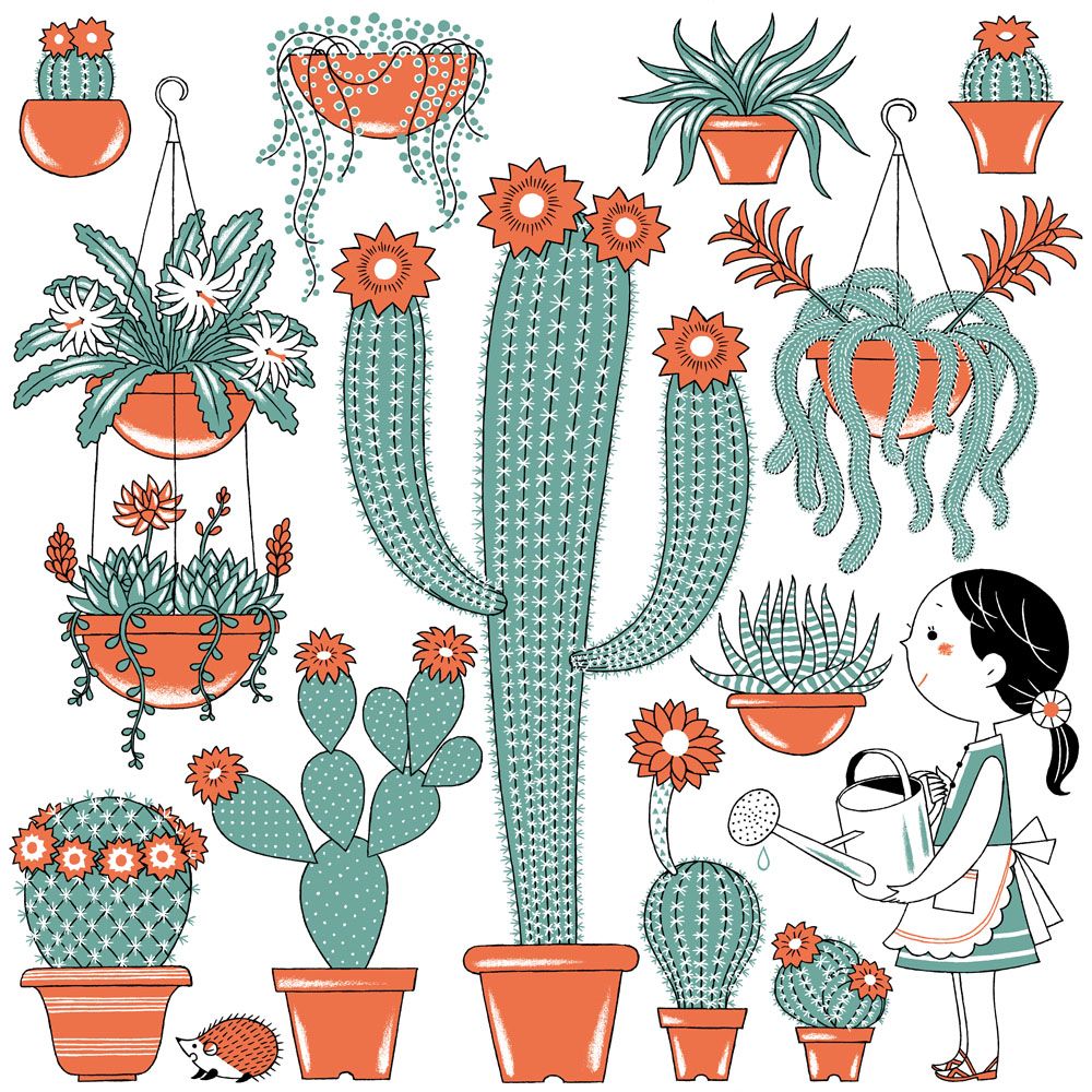 ボタナイズ バナケン 点描画 ポスター 塊根植物 多肉植物 希少 レア