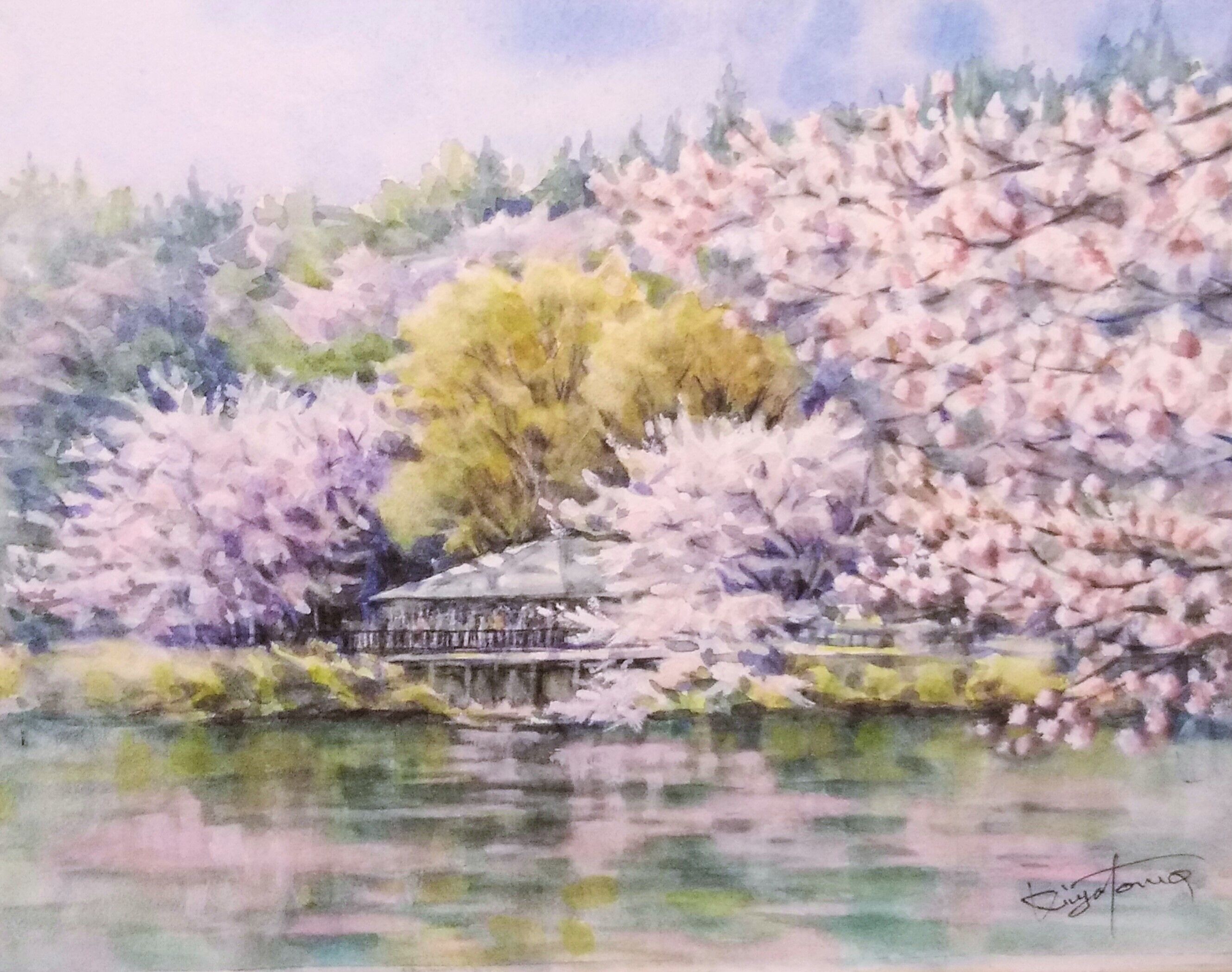 透明水彩画原画「桜の小径」額縁付F6サイズ風景画