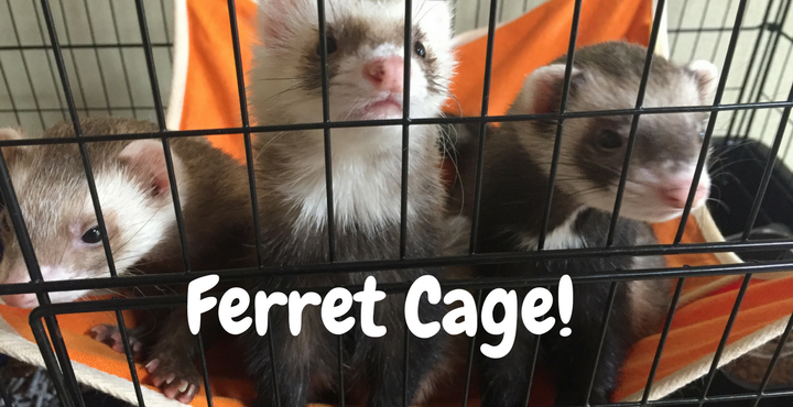 最終値下げ【廃盤品】カワイメディカル60 ルーフ付きフェレットケージ