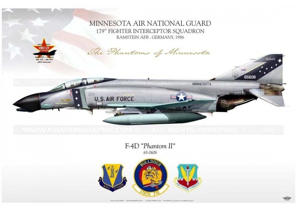 アメリカ海軍 イギリス空軍 F-4 Phantom 翼材 オブジェ D2M アメリカ