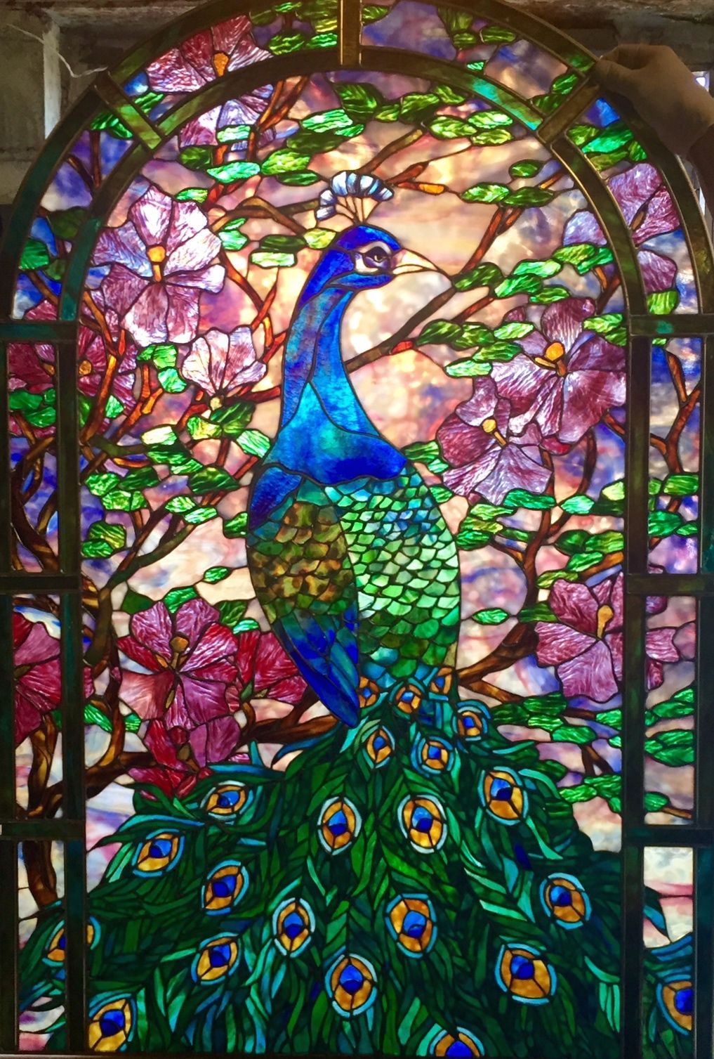 ステンドグラス 孔雀 ステンドグラス 孔雀と花のデザイン 約30cm x