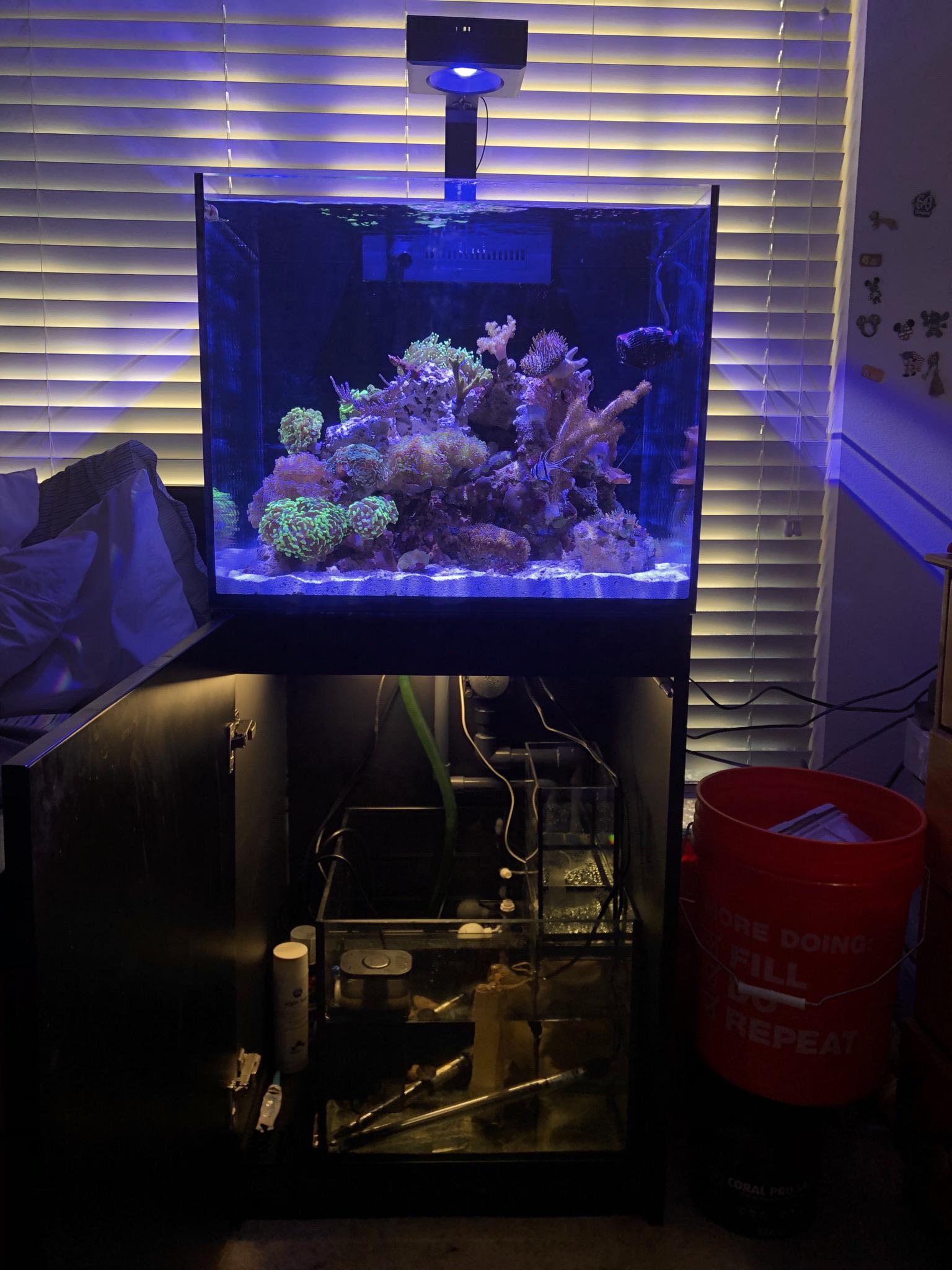 新品のRed Sea Reefer 170 : r/ReefTank
