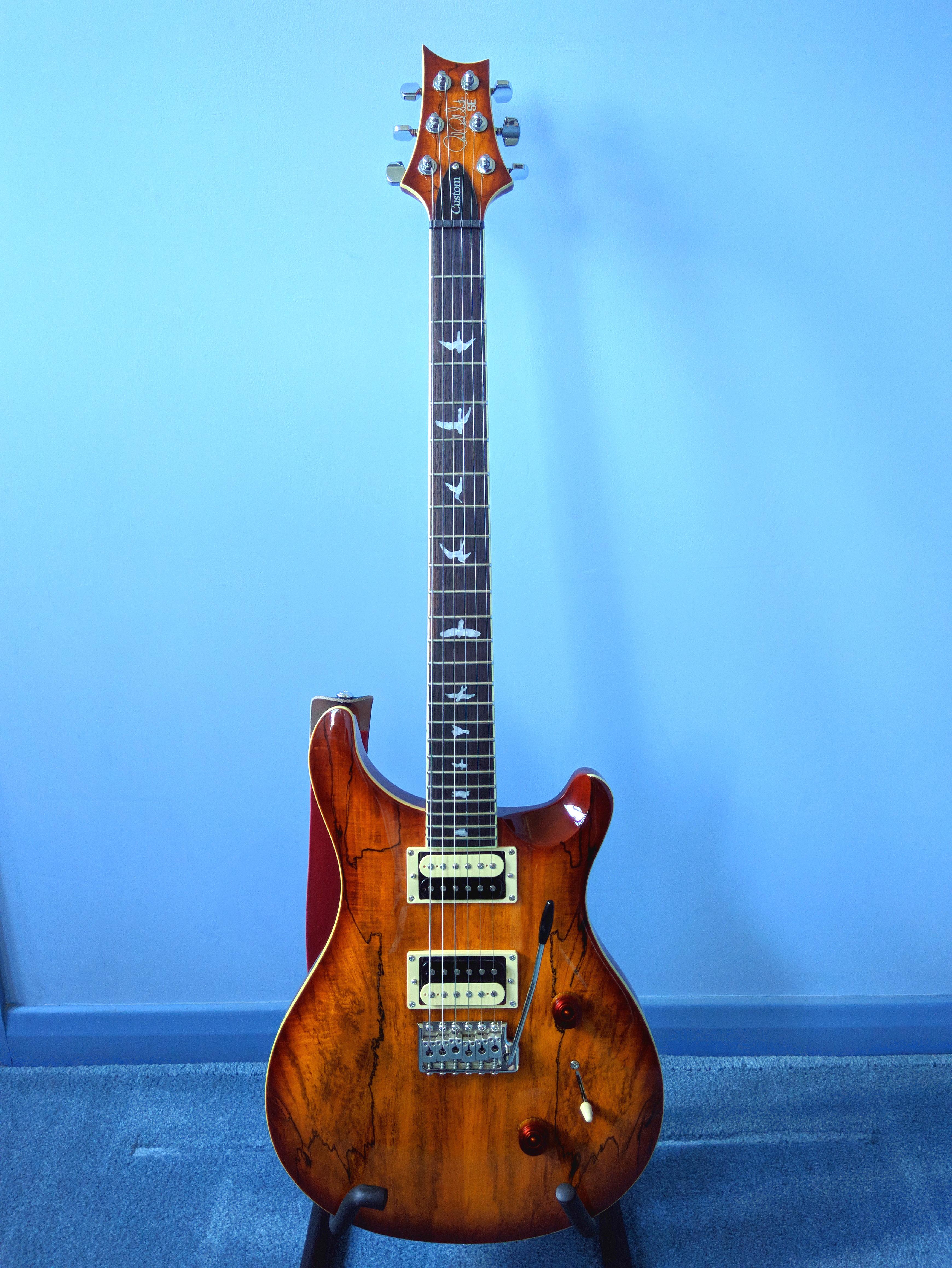 ギター PRS SE Custom 24 Spalted Maple PRS SE Custom 24, Exclusive
