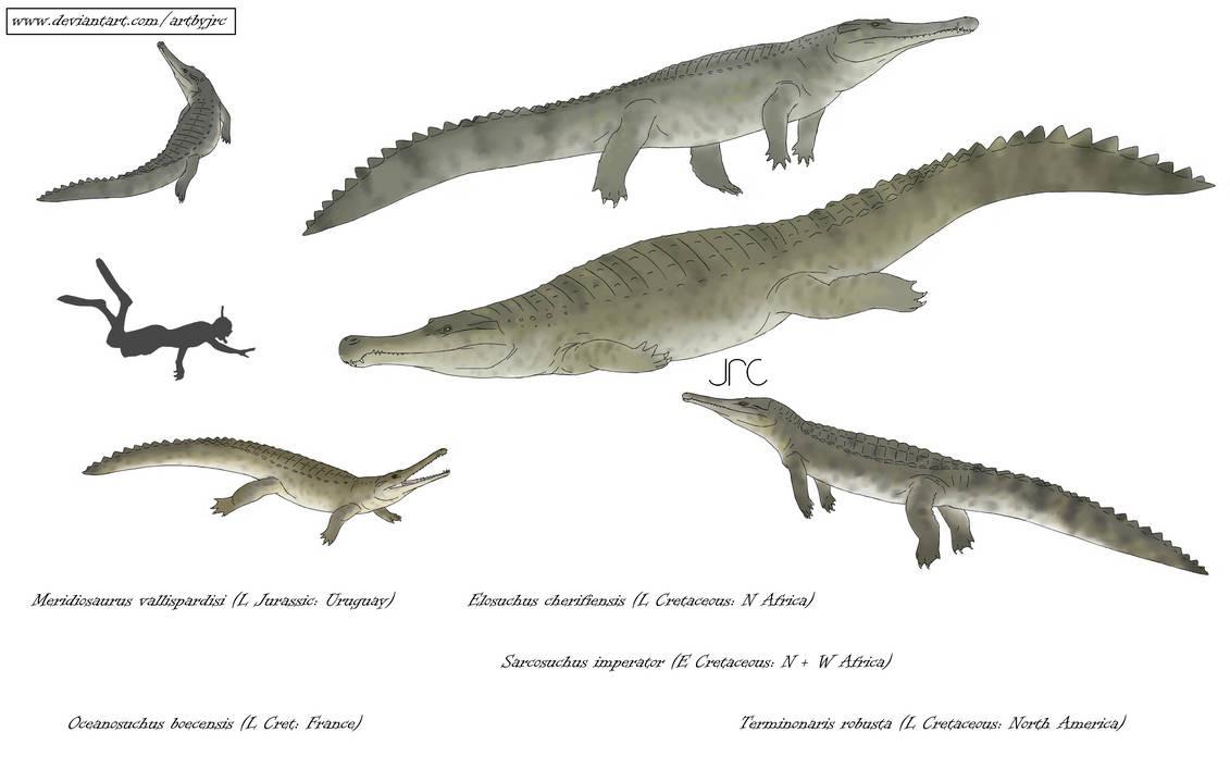 ジュラ紀と白亜紀にうろついていた、フォリドサウルス科のワニ形類 : r
