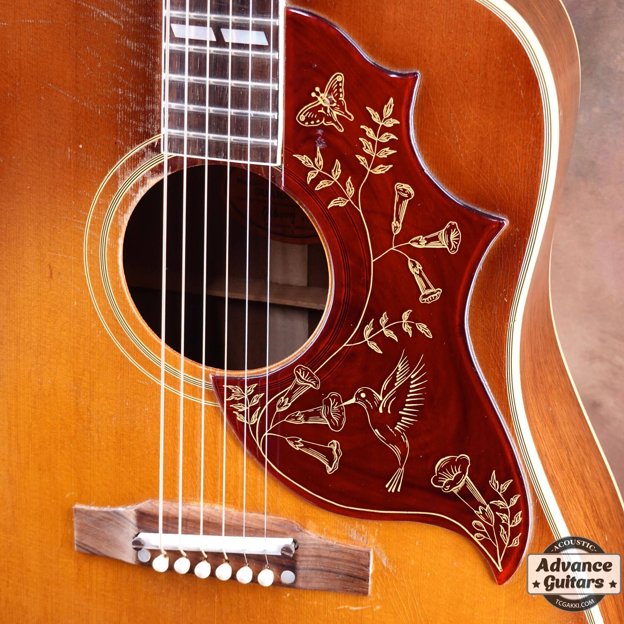 超美品 ハミングバード Wピックアップ付エレアコ 超美品 ハミング