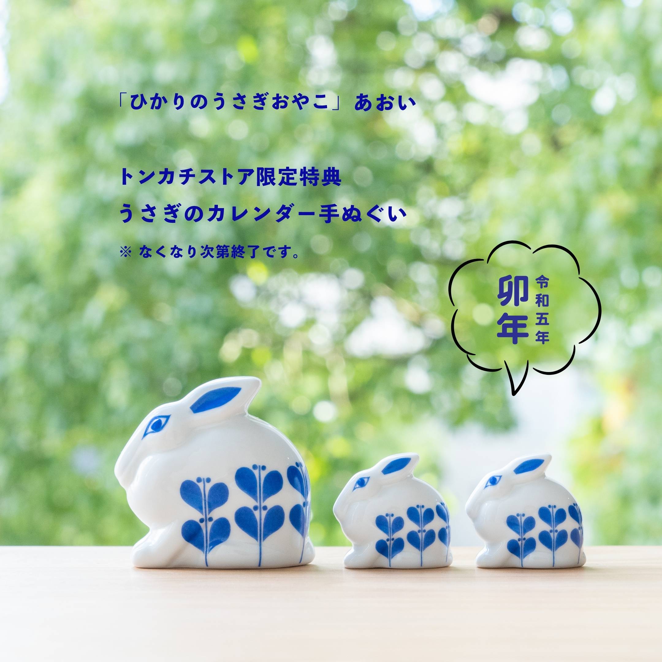 これから本番！ひかりのうさぎ！