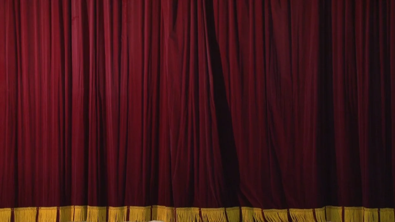 珍しいキノコ舞踊団』オリジナルプリントフォト1993一点もの ART