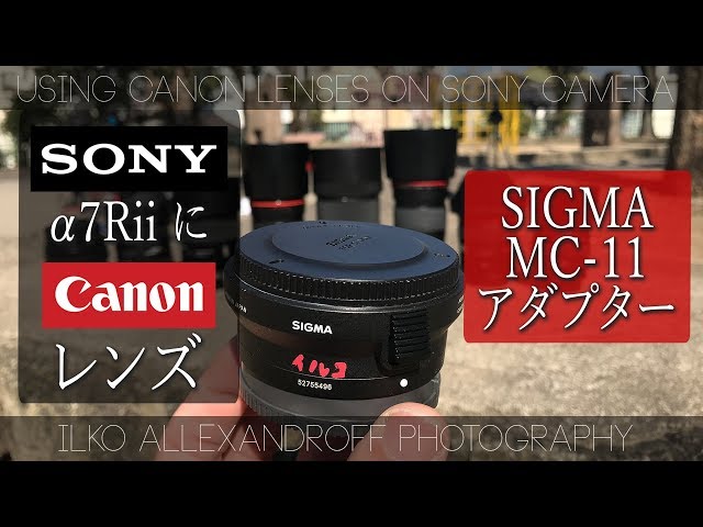 レンズ Canon SIGMA Nikon SONY 11点 まとめ売り セット レンズ Canon