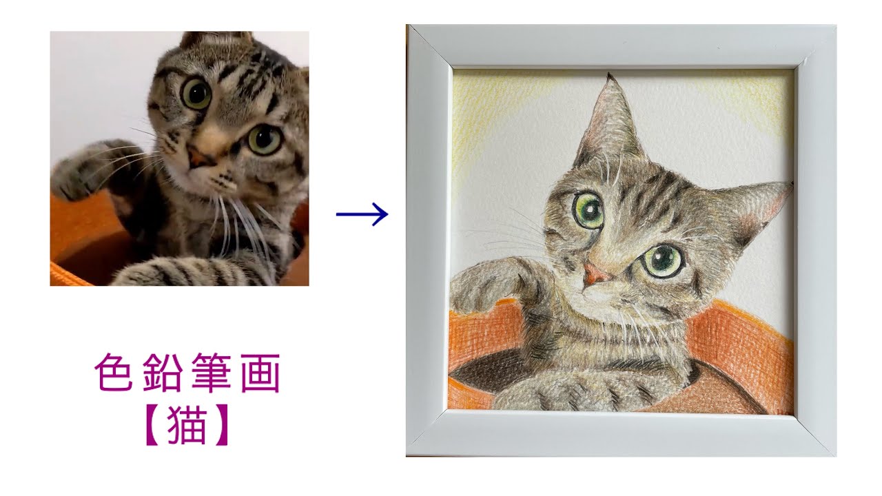 色鉛筆画】色鉛筆で猫ちゃんを描いてみました。#色鉛筆 #ねこ #猫
