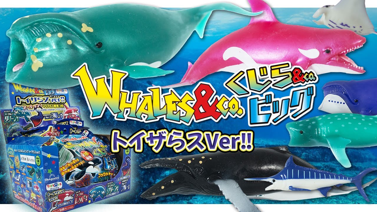 デアゴスティーニ くじら＆Co.ビッグ 全16種 コンプリート 1箱 未開封