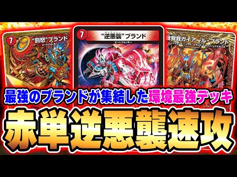 全DMPこれを組め!! 4枚の最強ブランドを採用した『赤単速攻』は