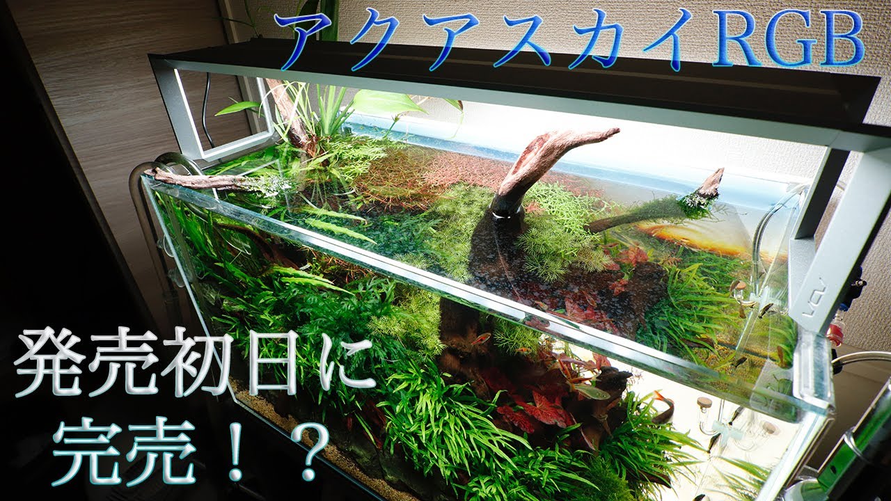 ADA AQUASKY RGB 60 LED照明 【公式通販】