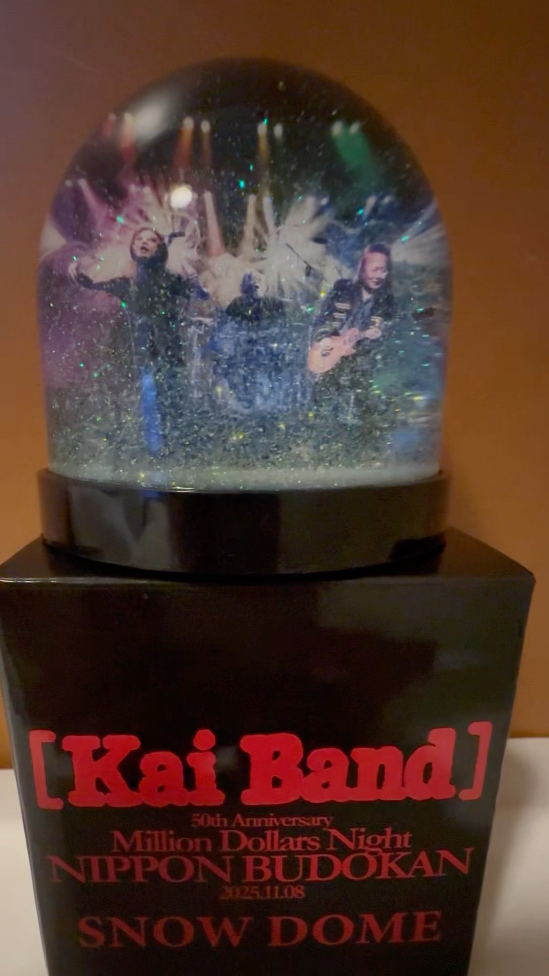 甲斐バンド スノードーム 50周年記念 甲斐バンド50周年記念スノー