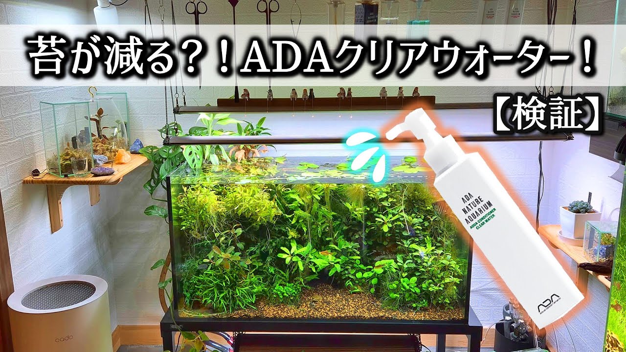 2021.4.24製品紹介：ADAのクリアウォーター⇒濁った飼育水を透明にする