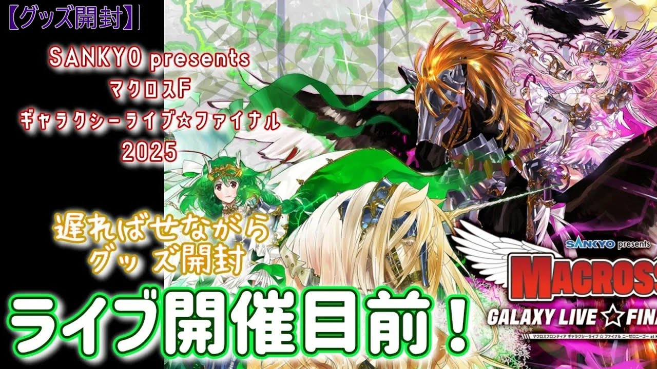 非売品 マクロスF GALAXY LIVE 2025 FINAL グッズセット 非売品