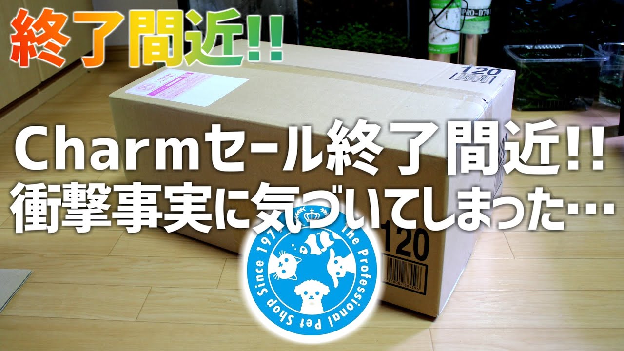 I bought it for 1000 yen and now it's only 100 yen!?But before