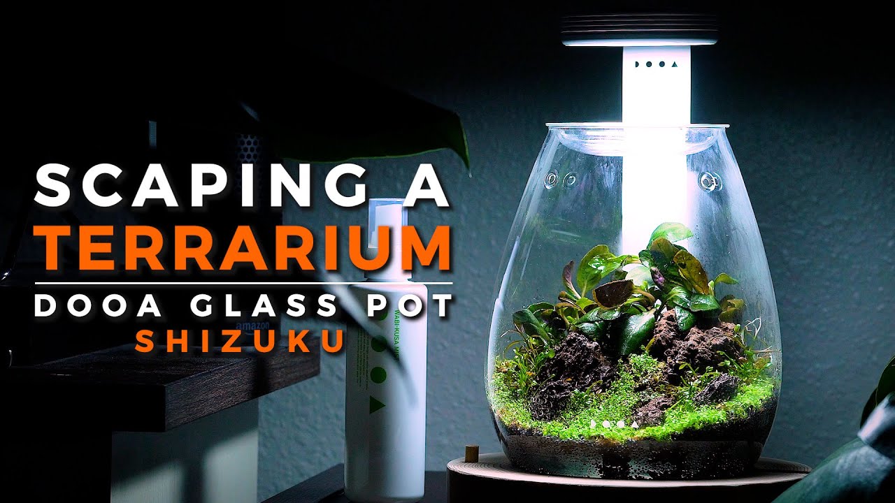 Mini Terrarium | DOOA Glass Pot SHIZUKU - YouTube