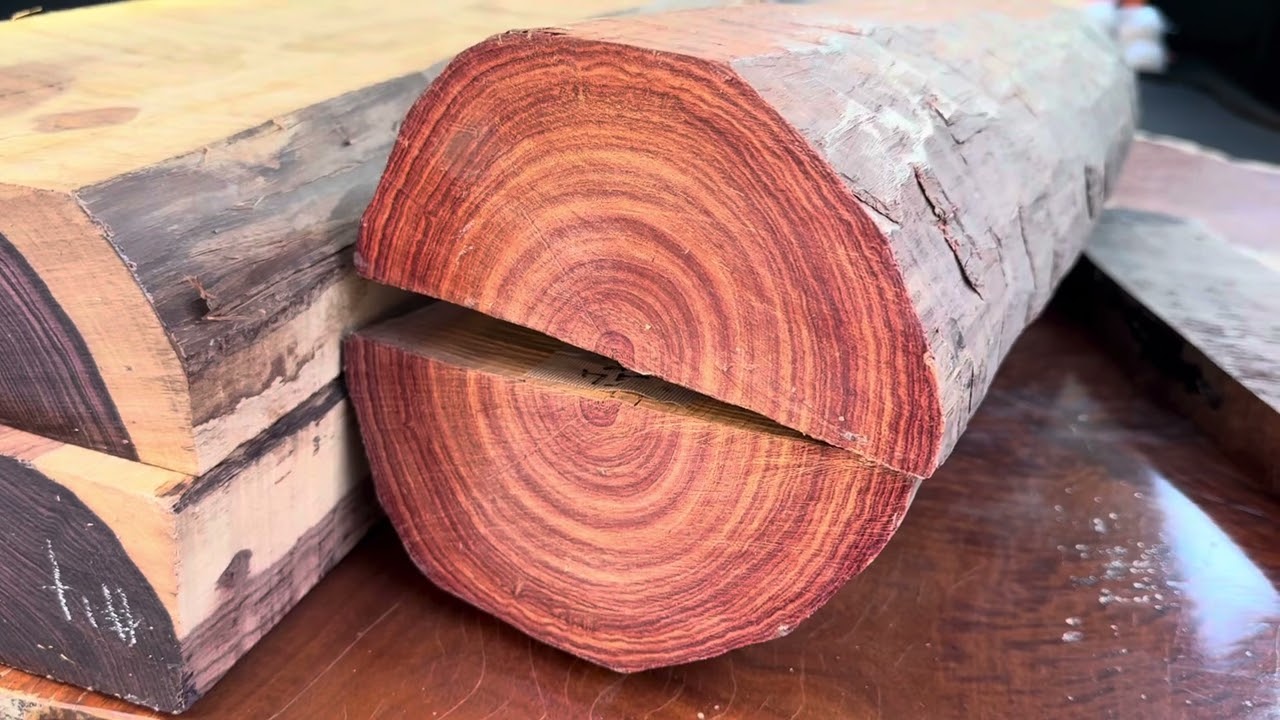 nickysnipers チューリップウッド3本 nickysnipers チューリップウッド