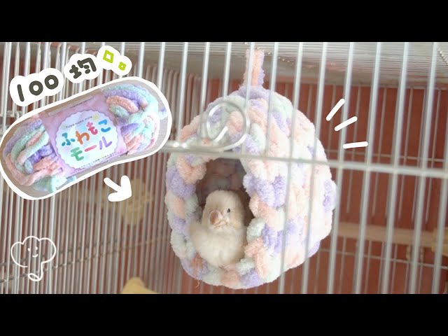 バードテント バードテント花様